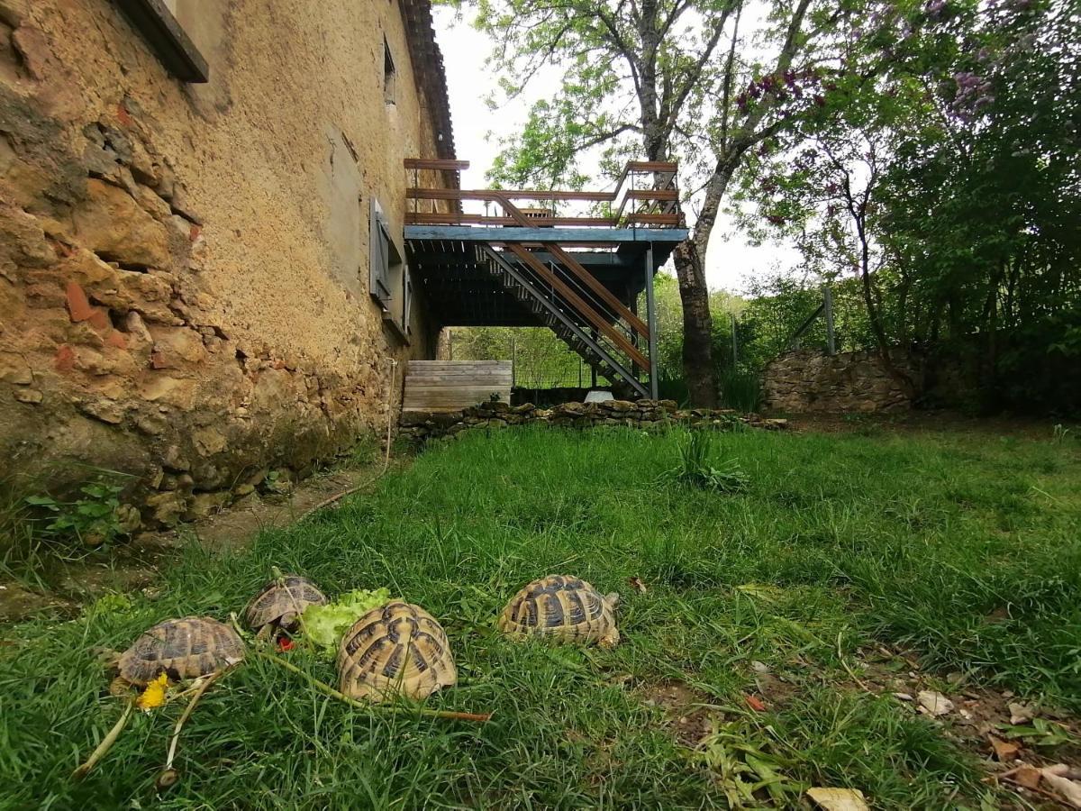 Gite Du Fassac Saint-Julien-du-Puy Exterior foto